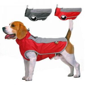 Dogs needs - מוצרים שימושיים לכלב בגדים לכלבים מעיל מפליז ופוליאסטר עם סקוטש לסגירה נוחה לכלבים גדולים - דוחה מים וזוהר בחושך