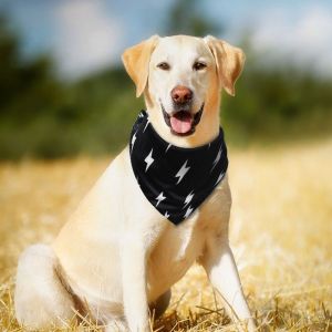 Dogs needs - מוצרים שימושיים לכלב בגדים לכלבים קולר בנדנה לכלב לסגירה עם תיק תק לכלבים קטנים ולכלבים גדולים