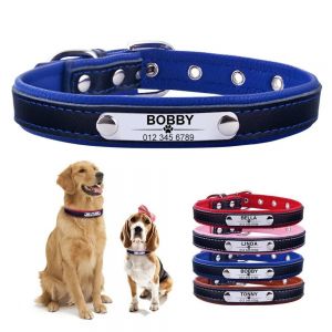 Dogs needs - מוצרים שימושיים לכלב בנדנות, תגים, קולרים, רצועות לכלבים קולר לכלב בהזמנה אישית