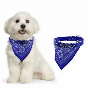 Dogs needs - מוצרים שימושיים לכלב בגדים לכלבים קולר בנדנה לכלב - התאמת גודל הקולר לכלב 