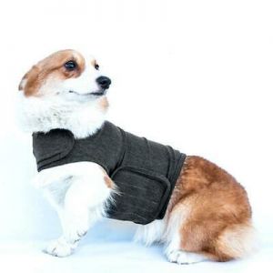 Dogs needs - מוצרים שימושיים לכלב בגדים לכלבים חולצת רעם אפודה עוטפת להפחתת לחץ וחרדות XS-XL Dog Thundershirt 